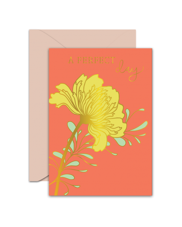 Greeting Card - GC2916-HAP002 - A PERFECT Day